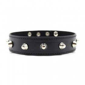 Collare spikes collar black